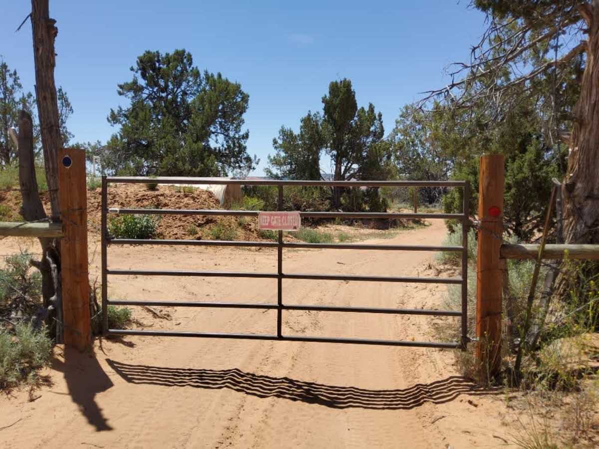BLM 15 photo 3