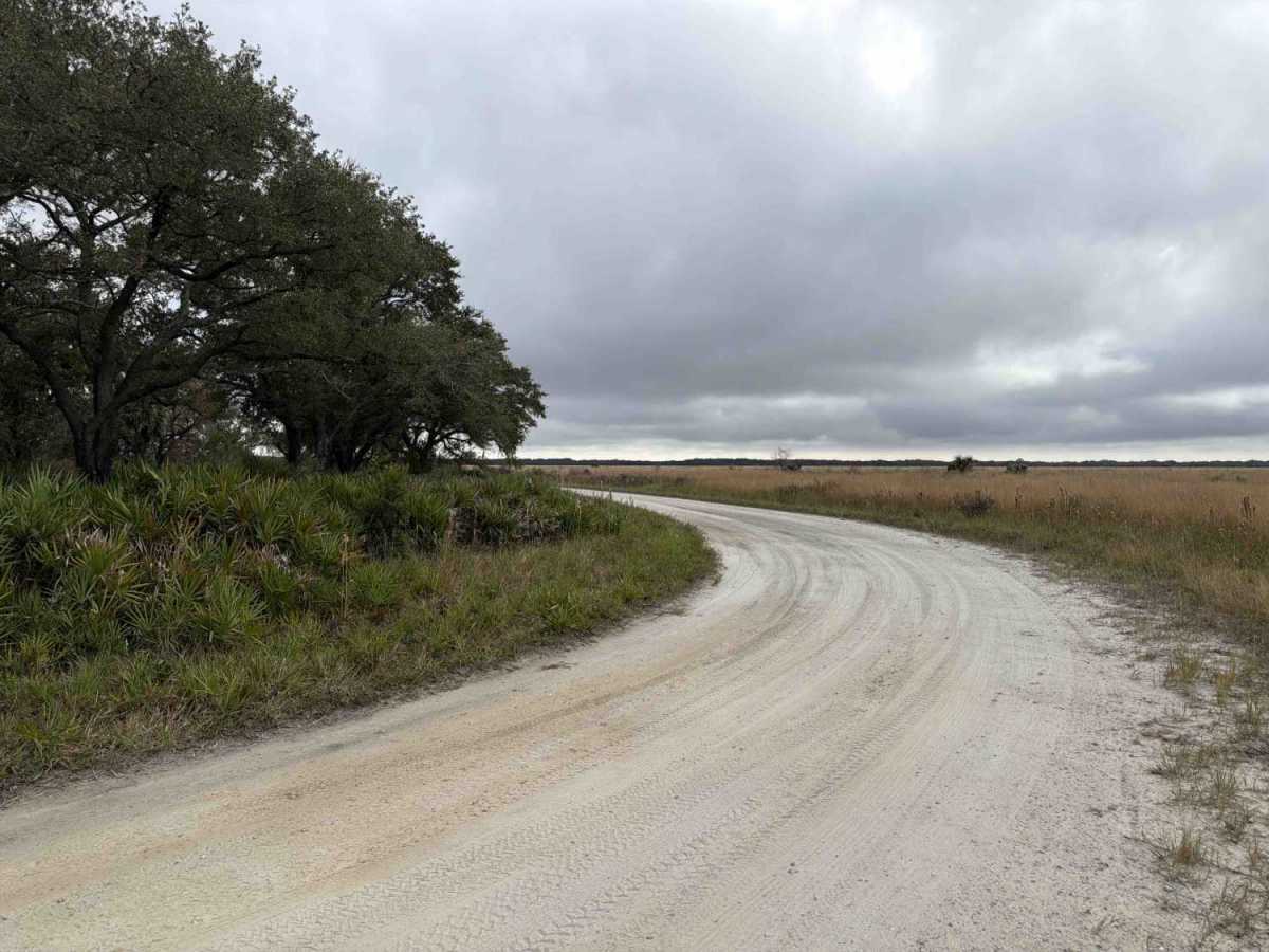 Boat Ramp Road - Three Lakes WMA photo 4
