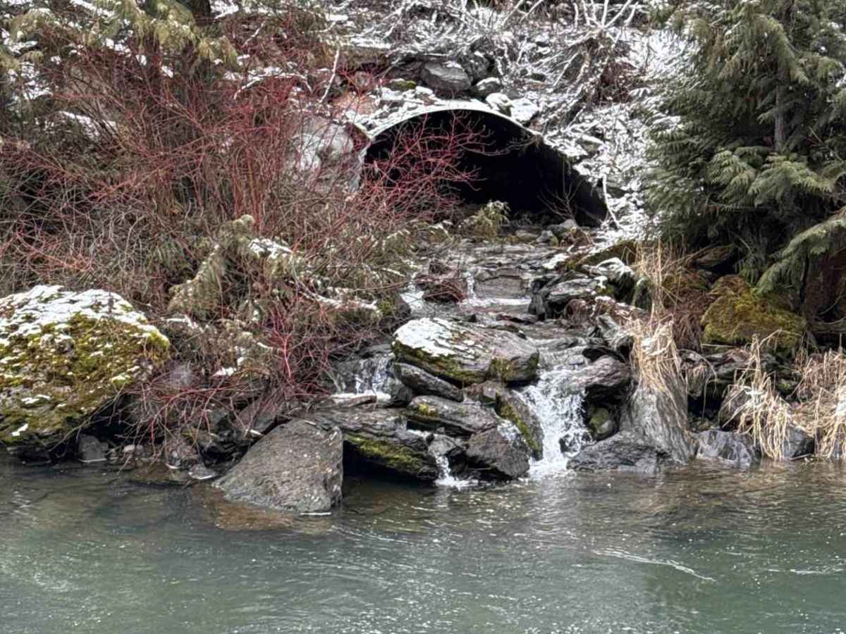 Thompson River Road photo 2