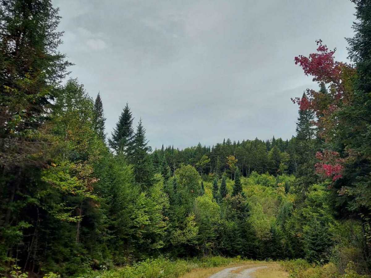 West Side Indian Stream Road trail photo