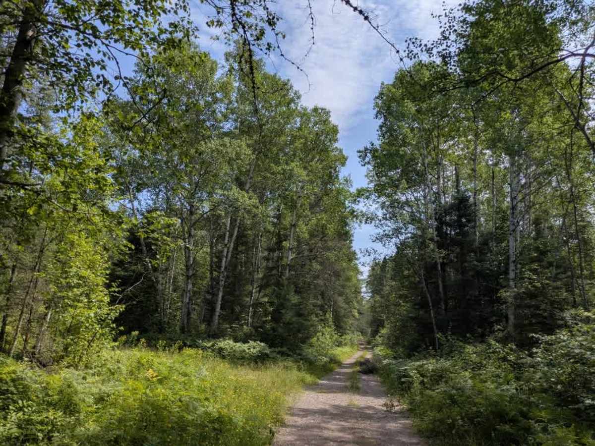 Tomlinson Lake Trail photo 4