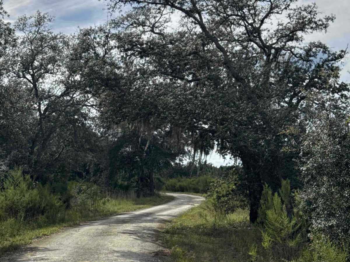 Quail Road photo 4