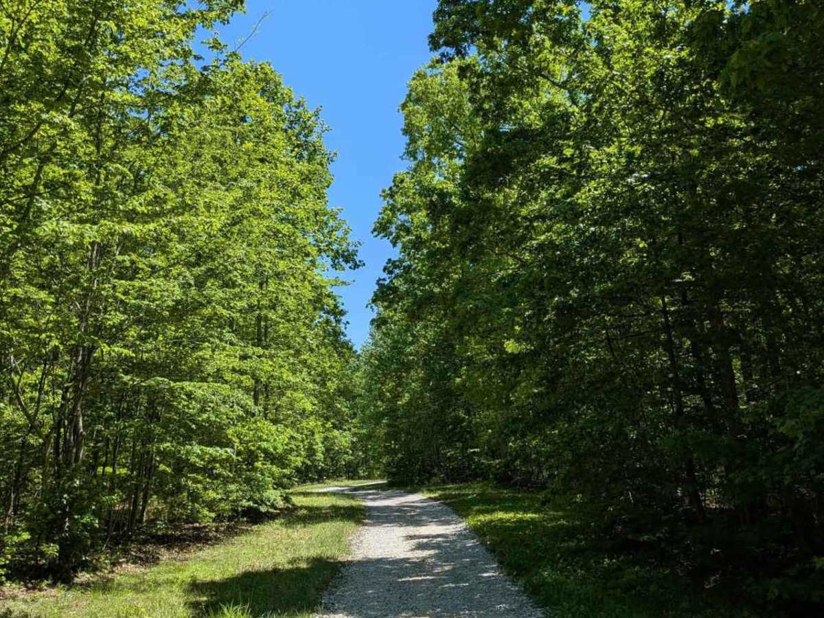 Bear Hollow Road photo 6