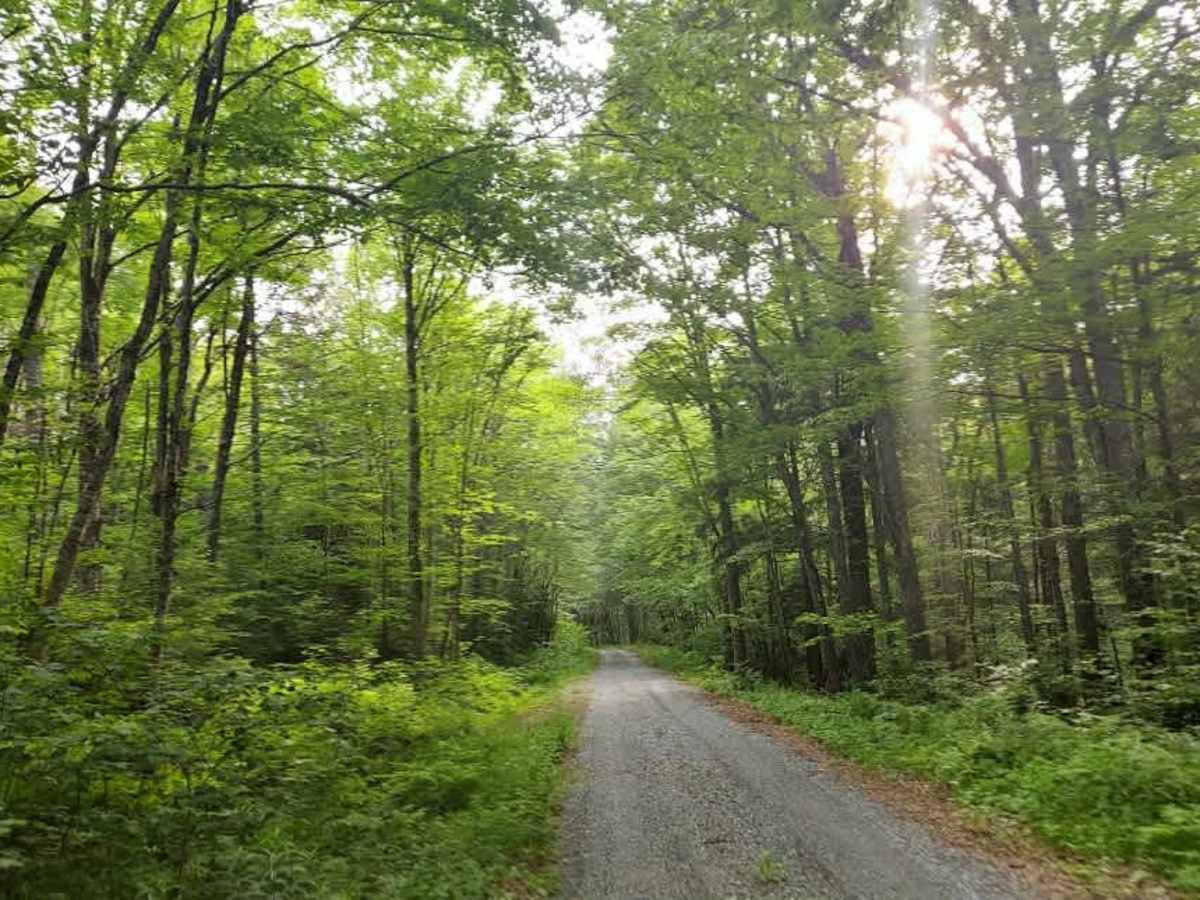 Tabor Brook Trail photo 2