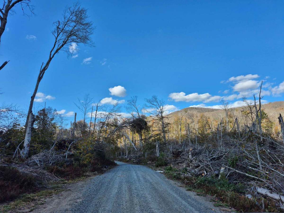 West River Road photo 5