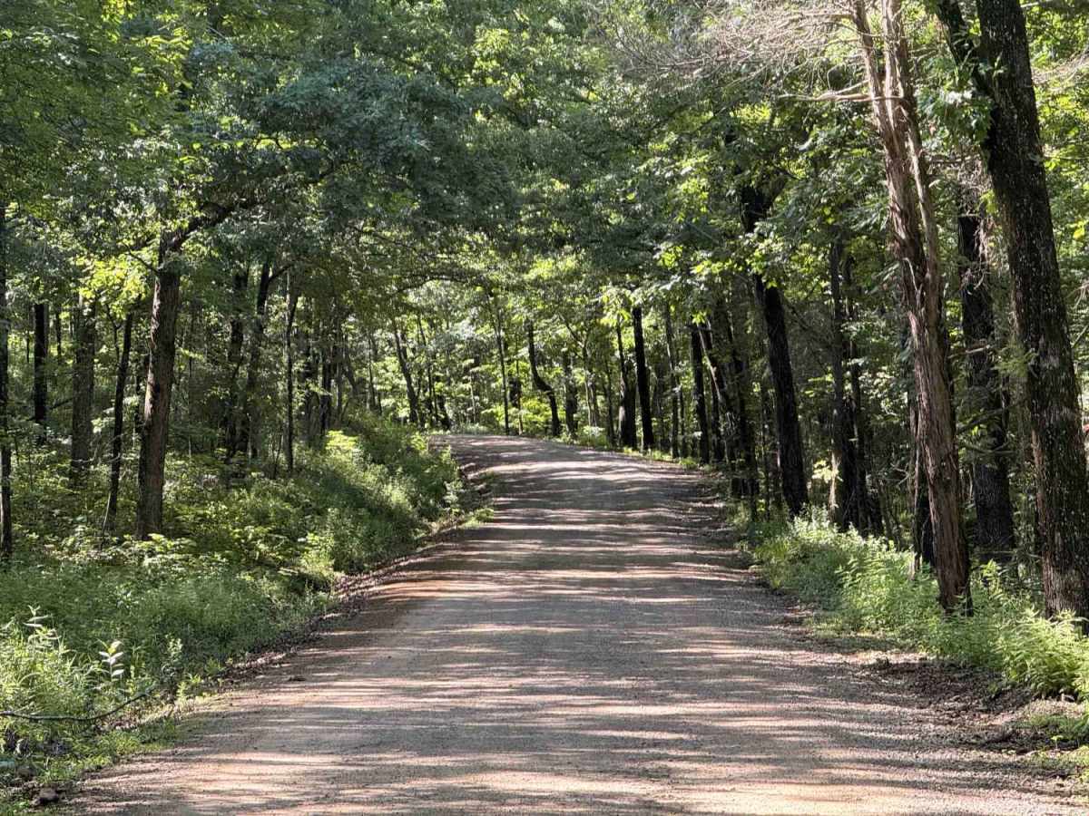 Old Cove City Road photo 2