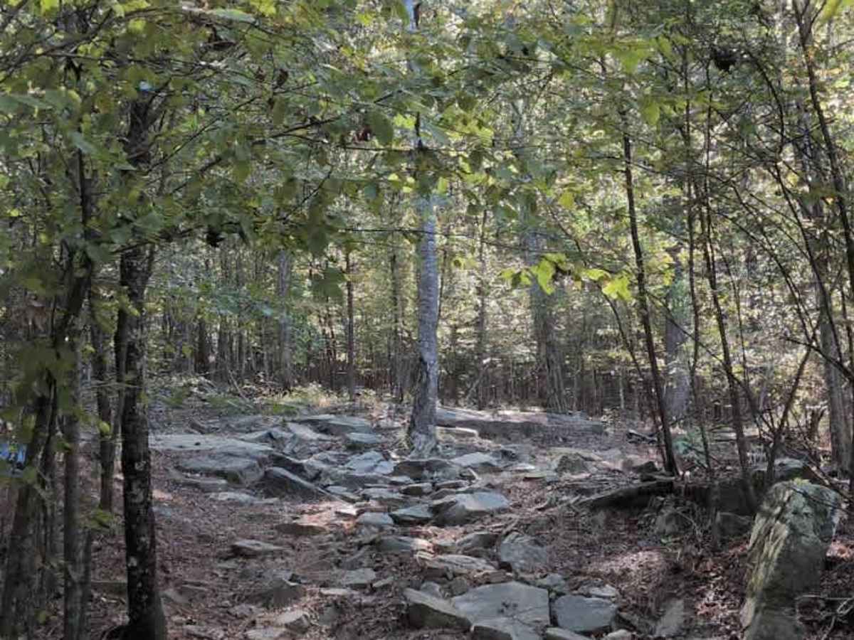 #23a Lucky's Loop photo 6
