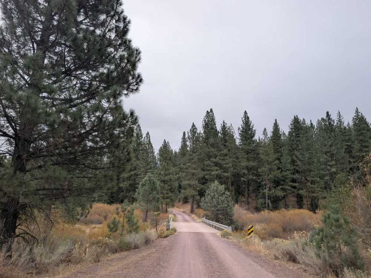 FS 30N03 trail photo