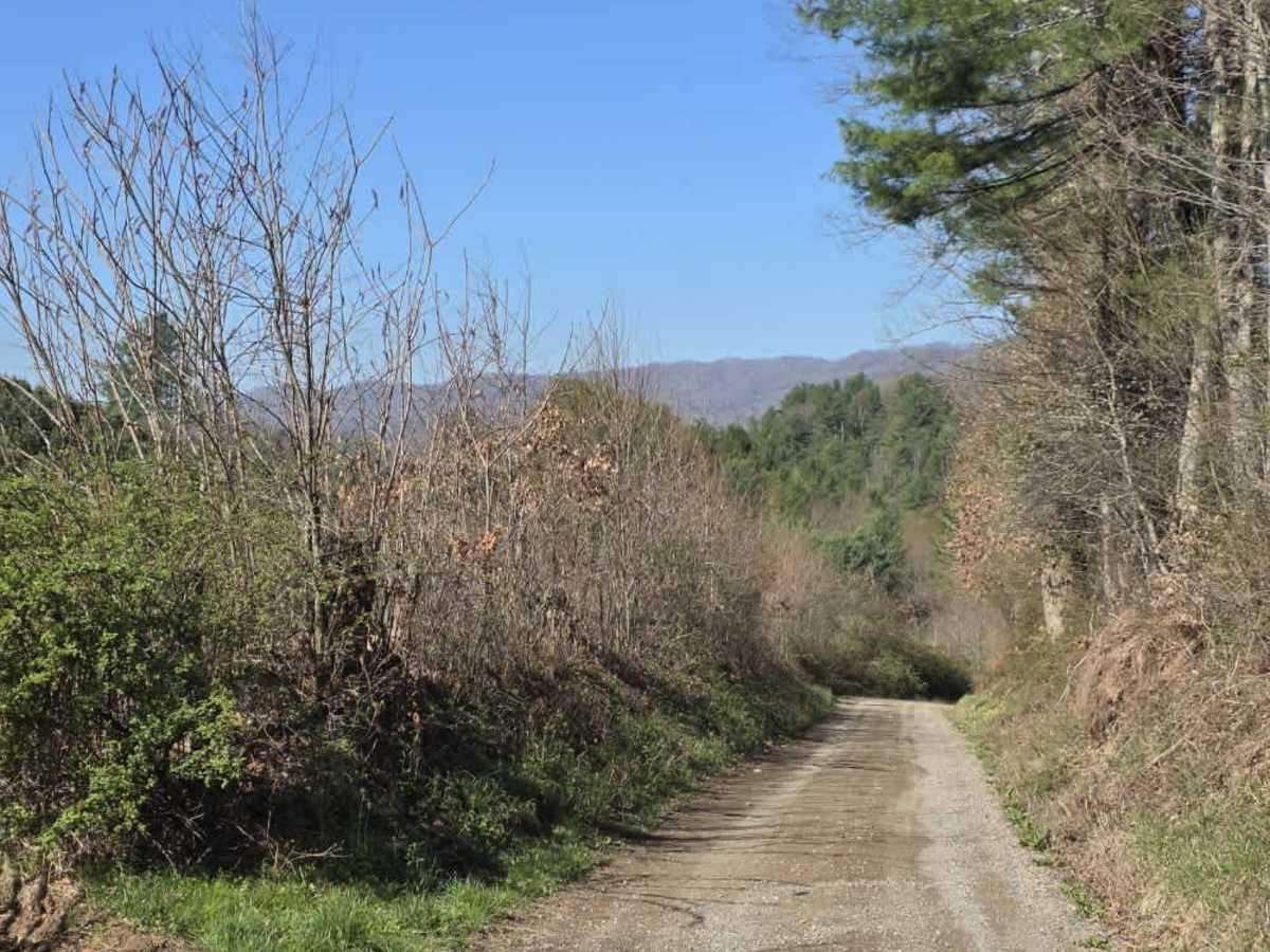 Star Gap photo 3