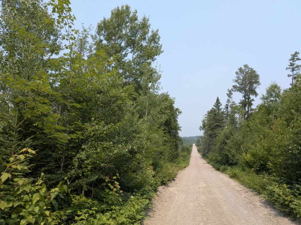 Low Lake trail photo