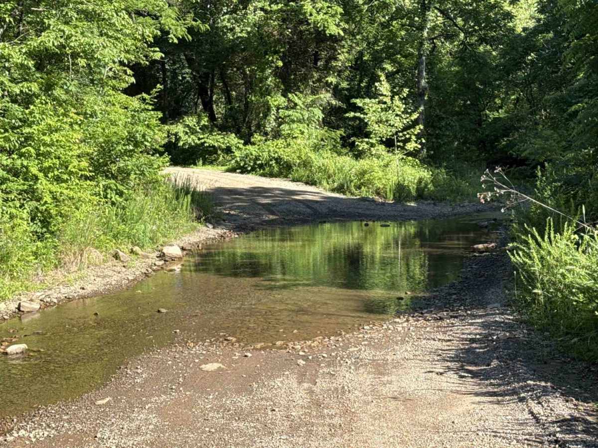 Cove Creek Road photo 5