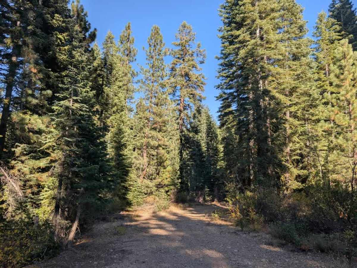 Willow Creek Road  photo 3