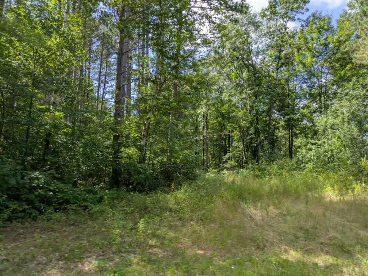 Black Bird Road Northeast photo 6