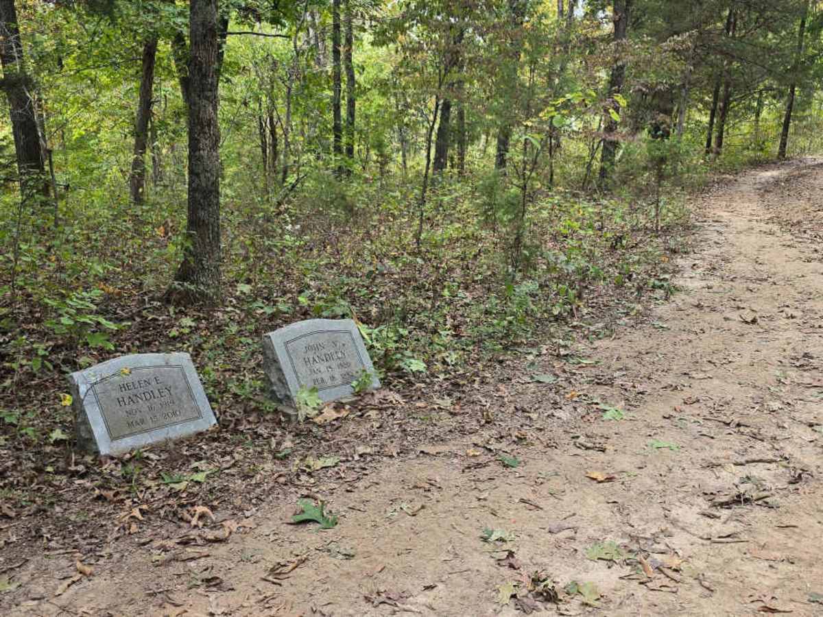 Handley's Way trail photo