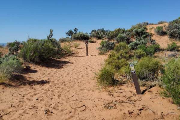 BLM HC2 Spur