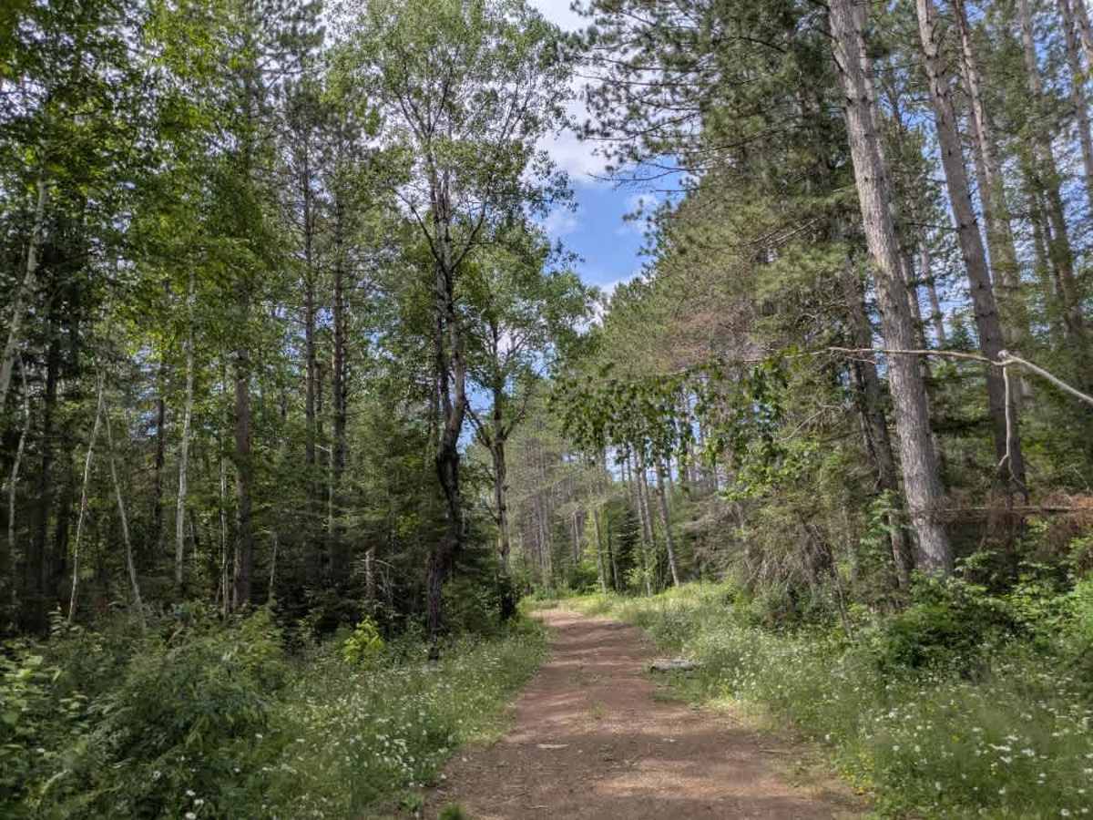 FS 362A trail photo