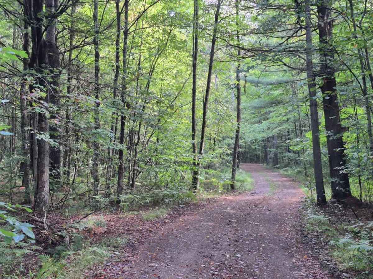 Little Otter Creek Road photo 4