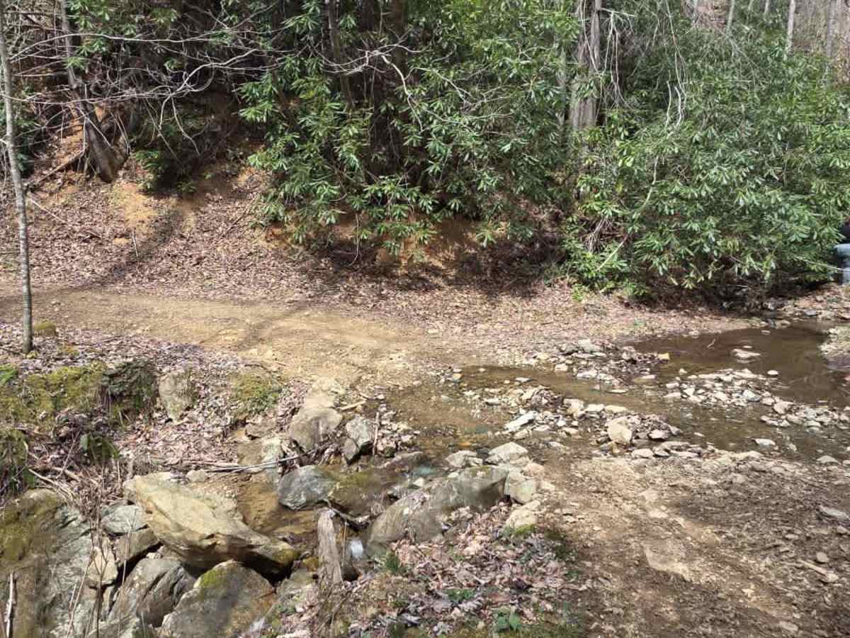 Green Knob photo 6