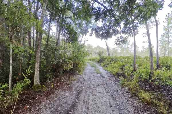 Nolan Ridge Road