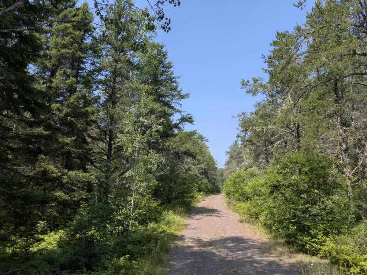 Pit Lake Spur B trail photo