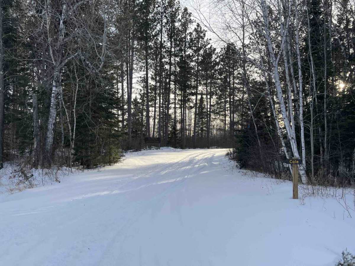 Cole Forest Road photo 6