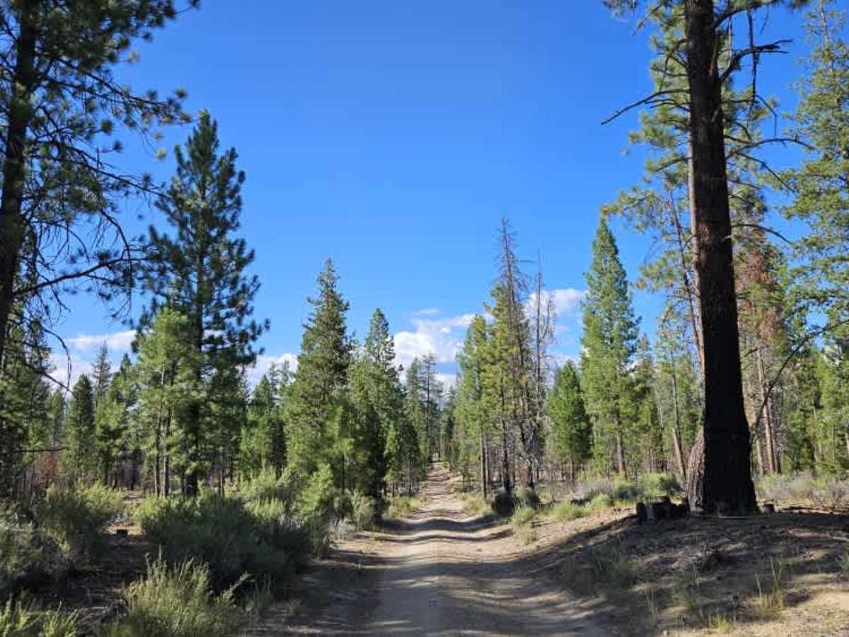 FS 4900830 trail photo