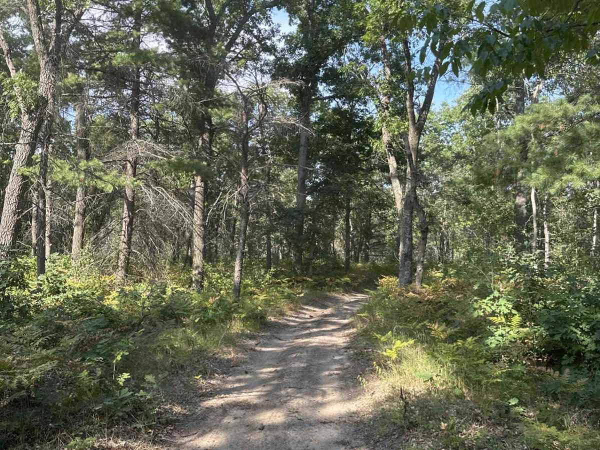 H8-3 Section 3 trail photo