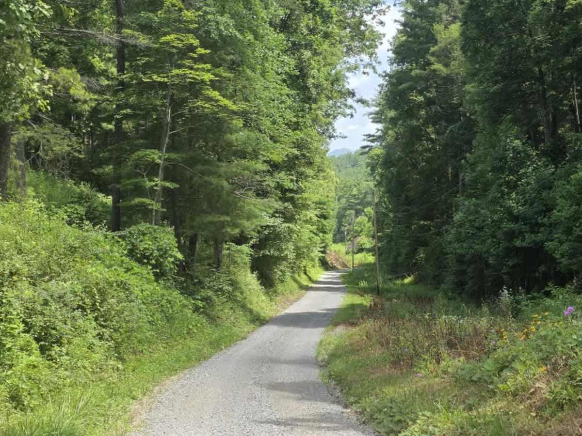 Piney Branch photo 5