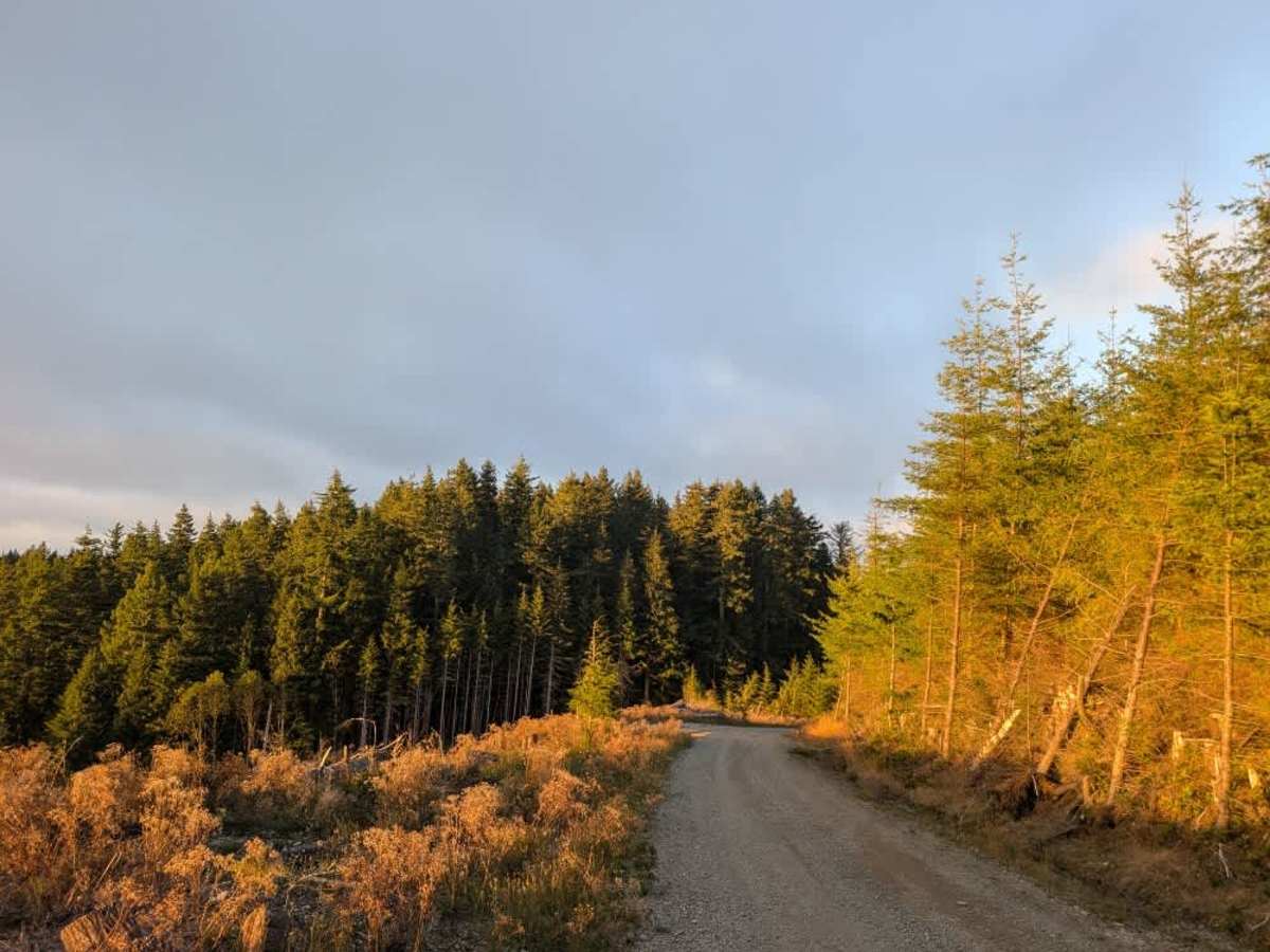 FS 1030 trail photo