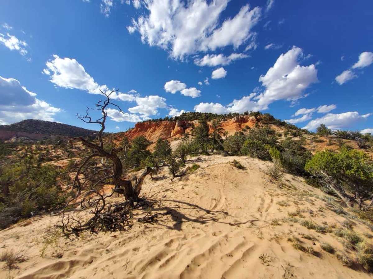 BLM 33 trail photo