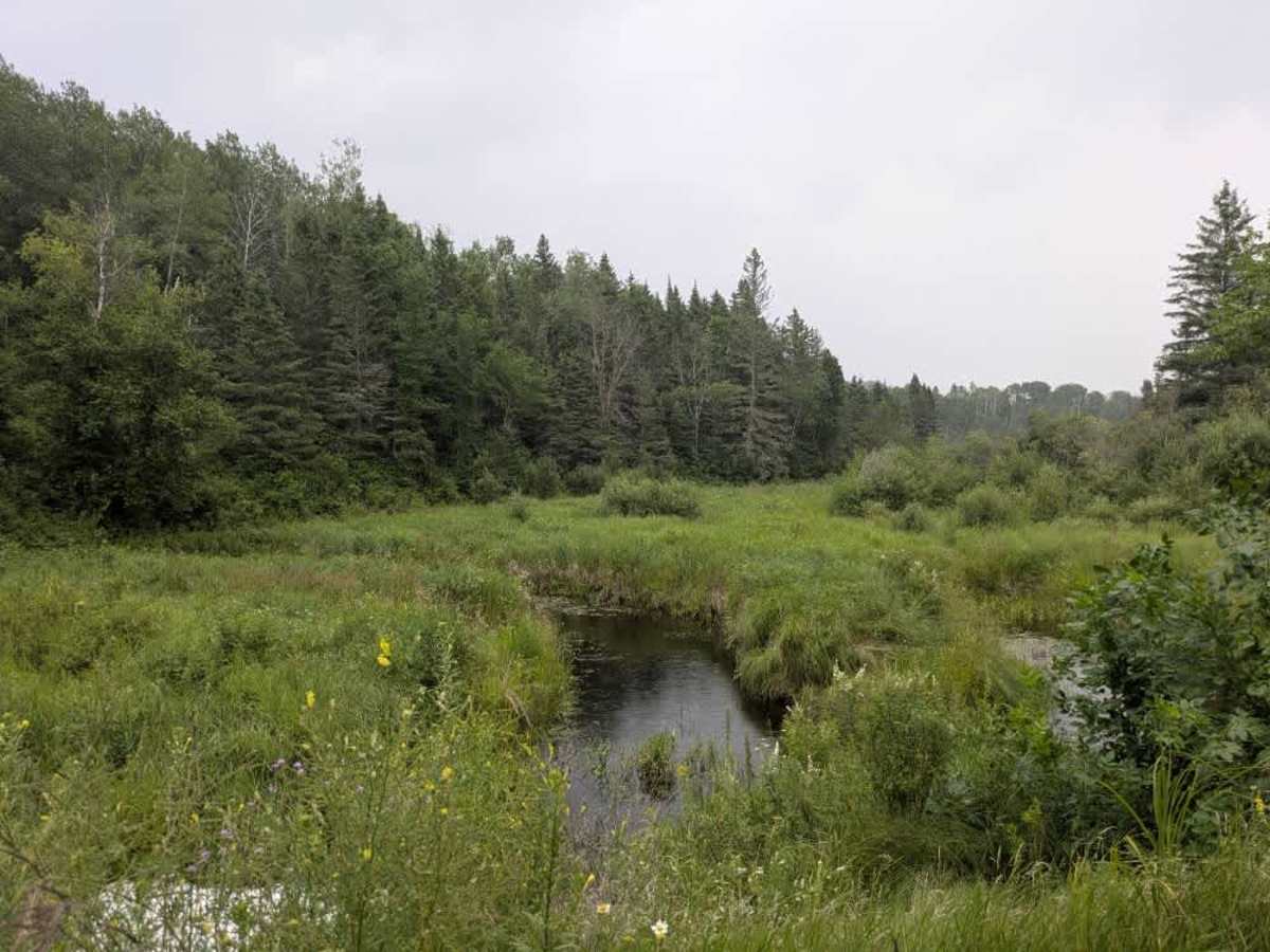 Fawn Creek Spur B photo 6