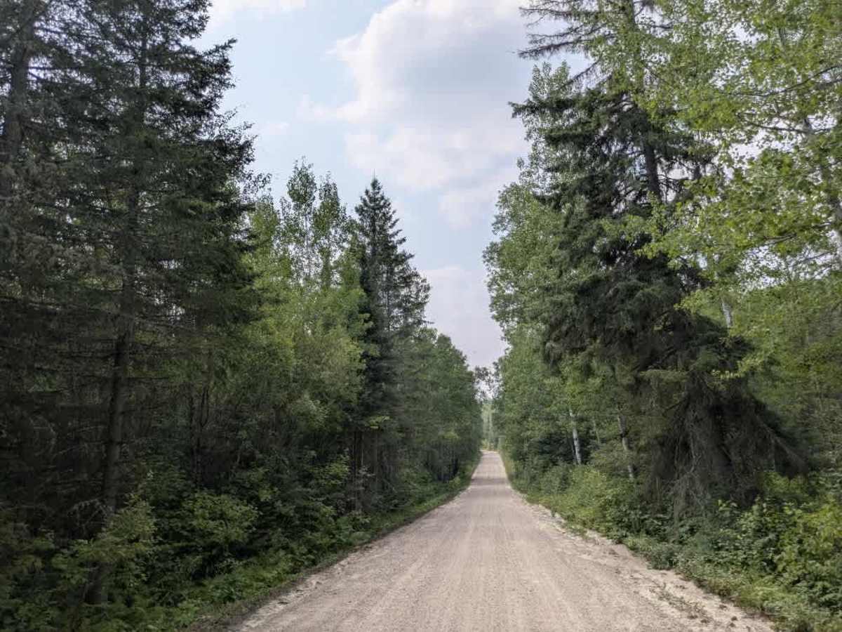 Gold Mine Road  photo 5