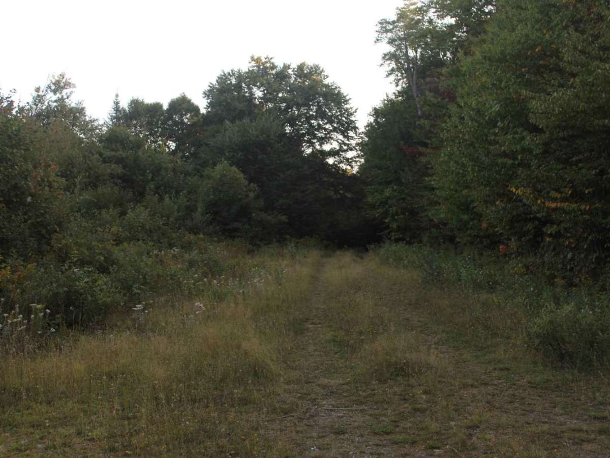 Gordons Trail photo 6