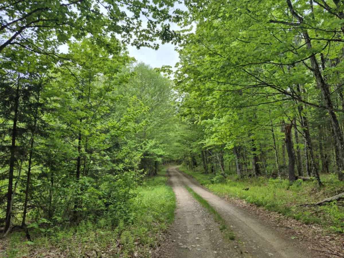 Otter Brook Road photo 3