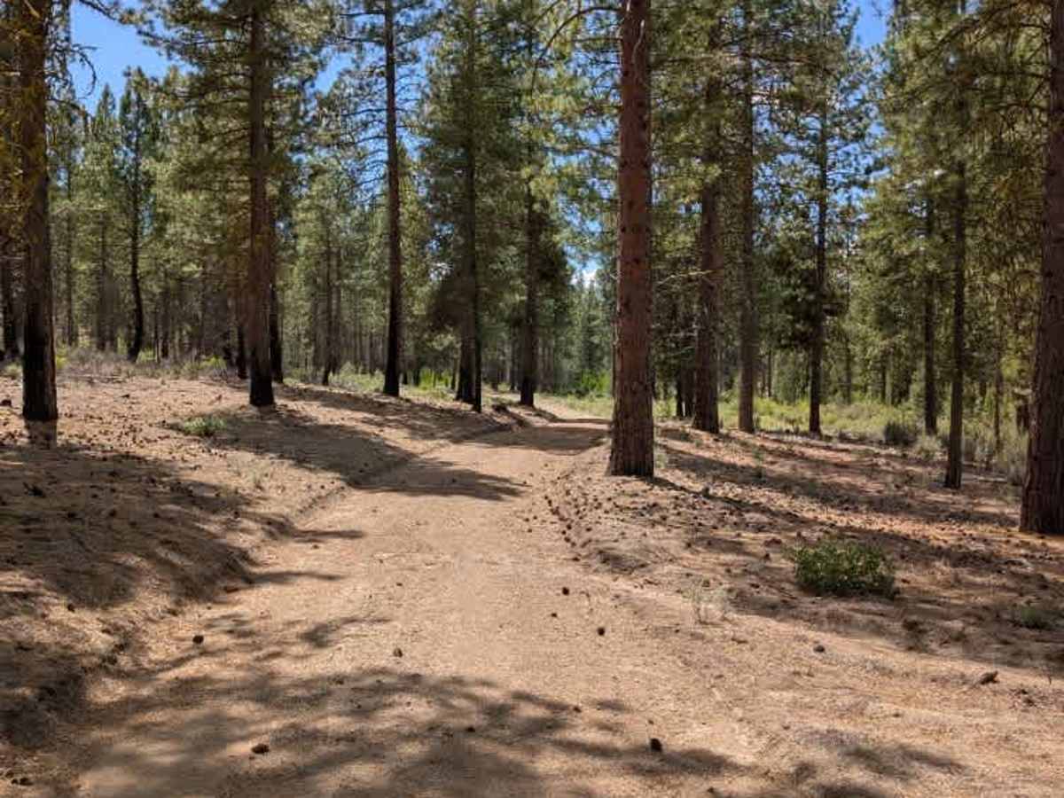 FS 4502190 trail photo