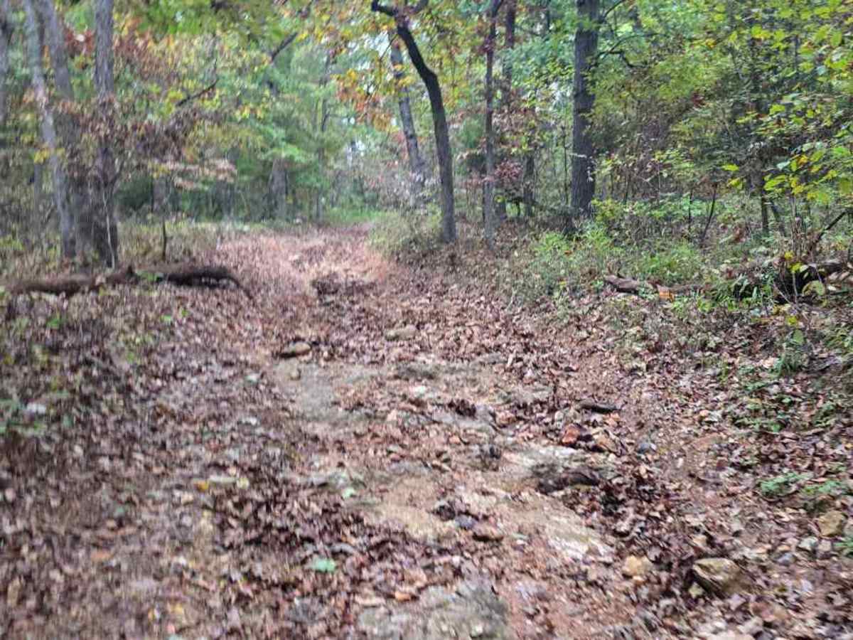 Chimney Trail photo 5