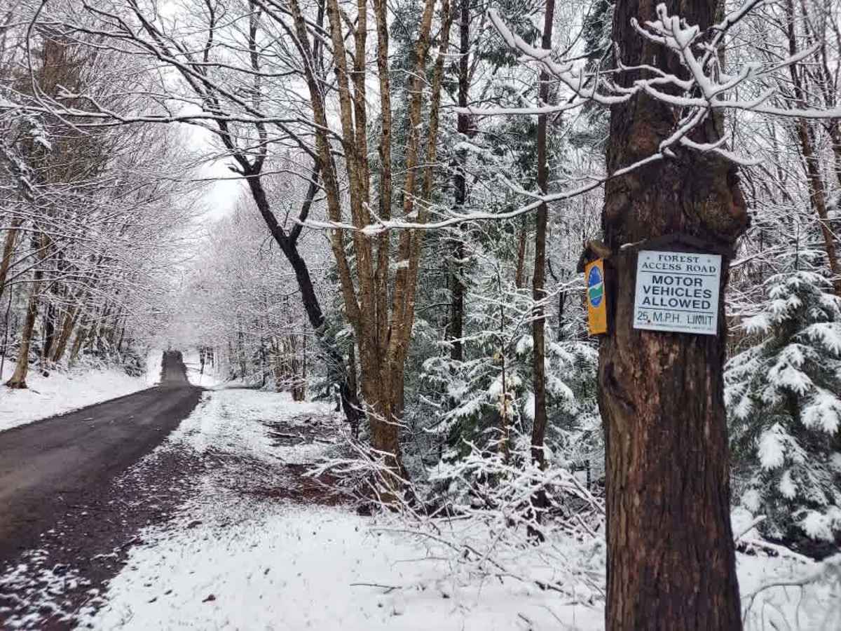 Horace Forward Truck Trail trail photo