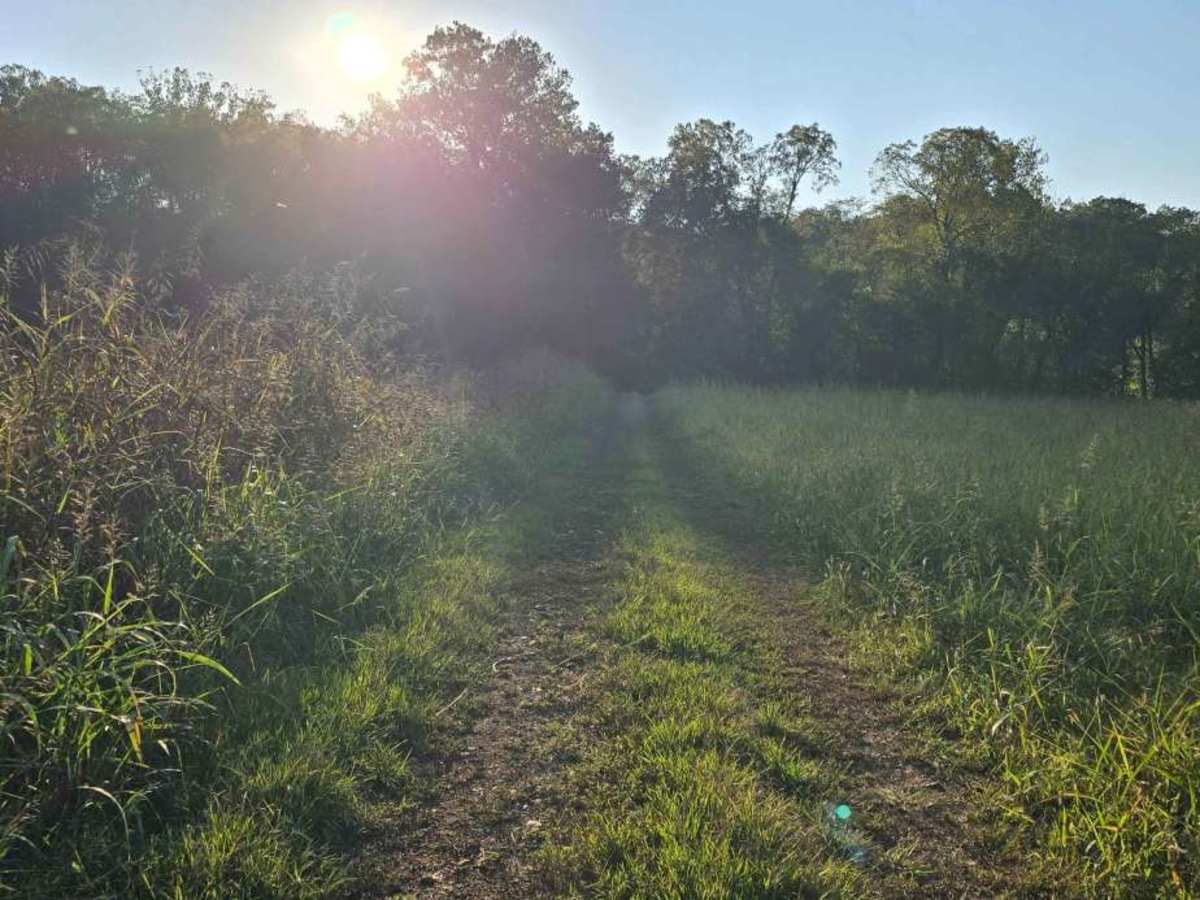 Little Gravois Creek North Trail photo 3