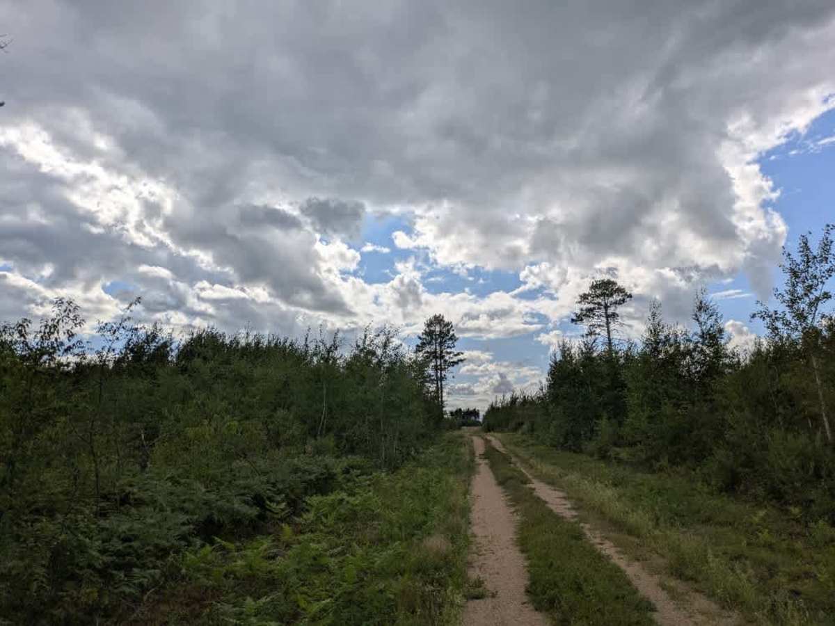 North Boundary Trail photo 5