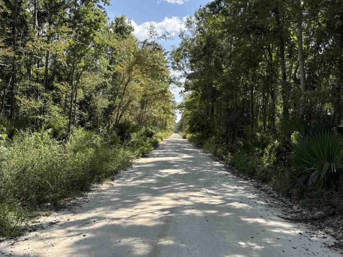 Storm Mainline Road trail photo