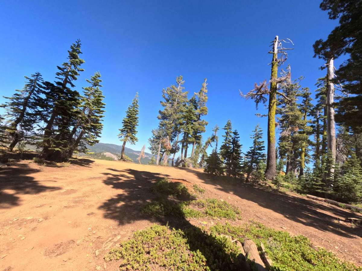 Lots A Lakes OHV Trail - FS 12E66 photo 4