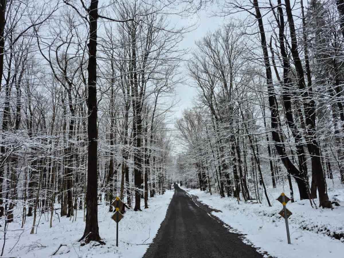 Mile Strip Road photo 5