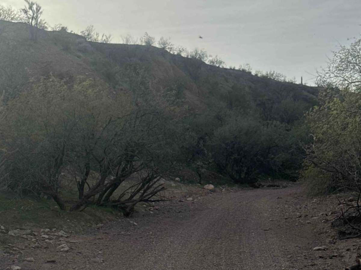 38068 photo 6