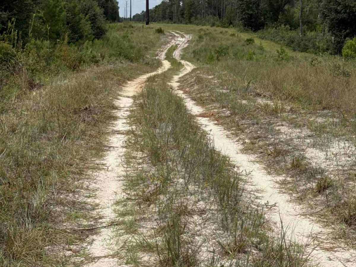 South Powerline Road photo 4