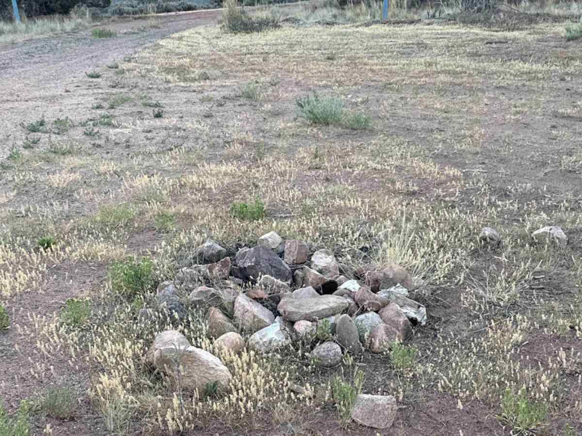BLM 8621 photo 4