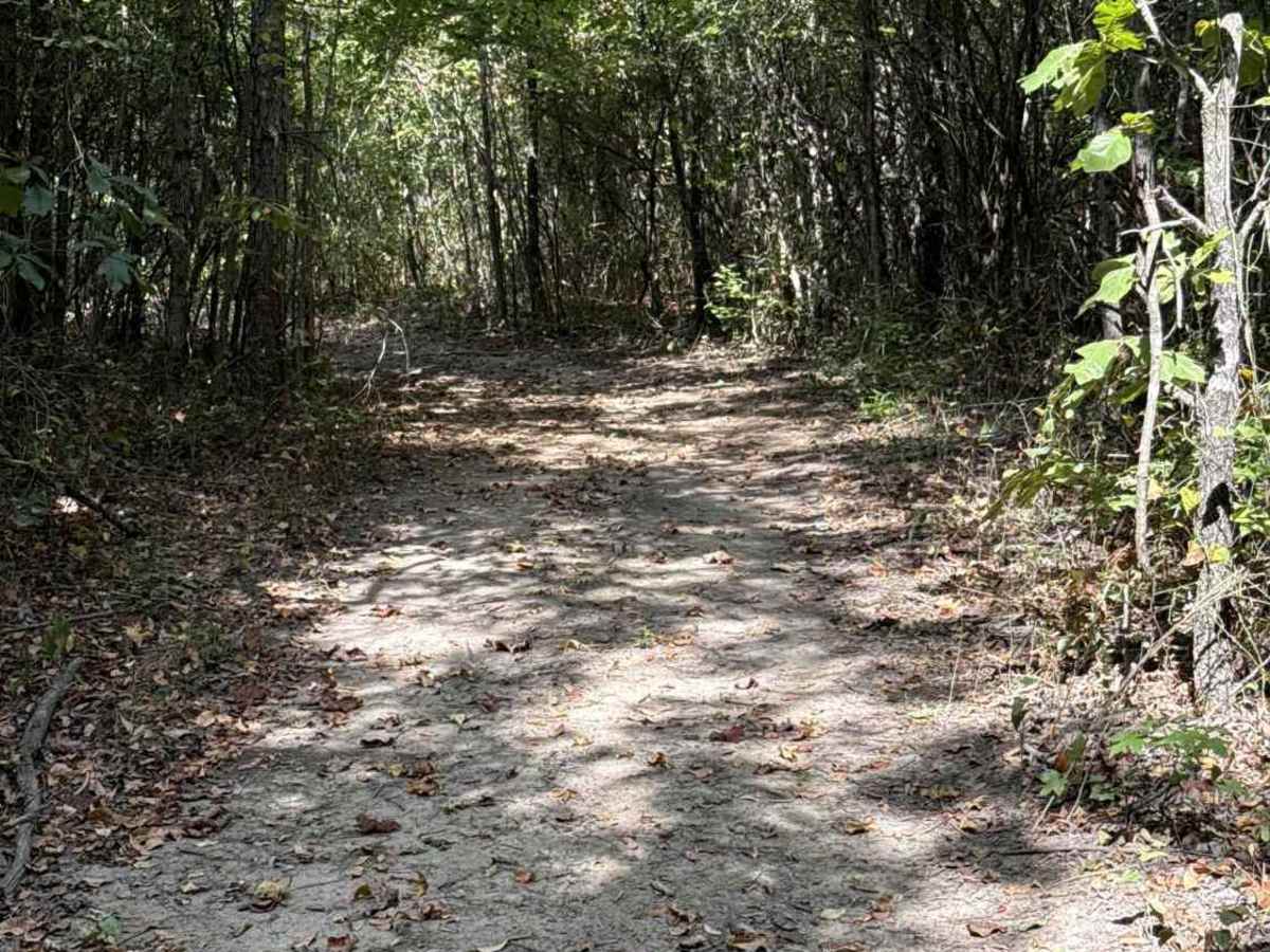 Bamboo Bend trail photo