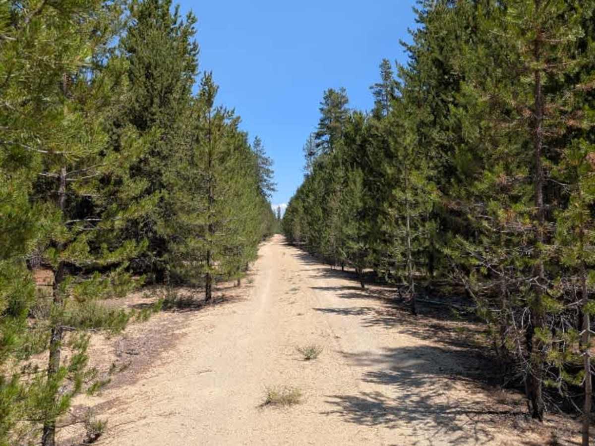 FS 9412 trail photo