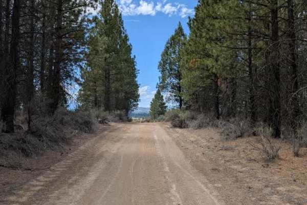 Pine Ridge