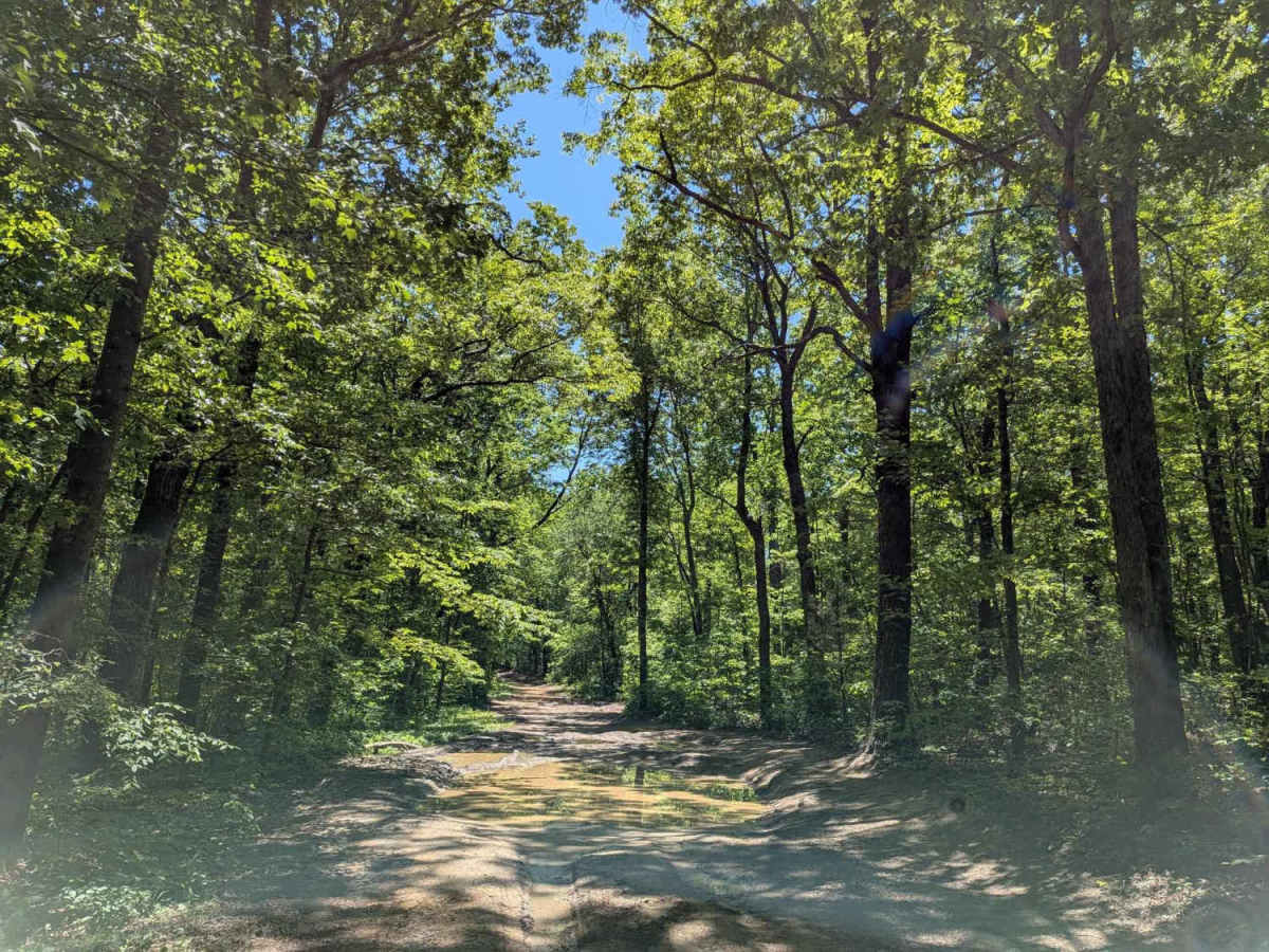 Turnpike Road photo 6