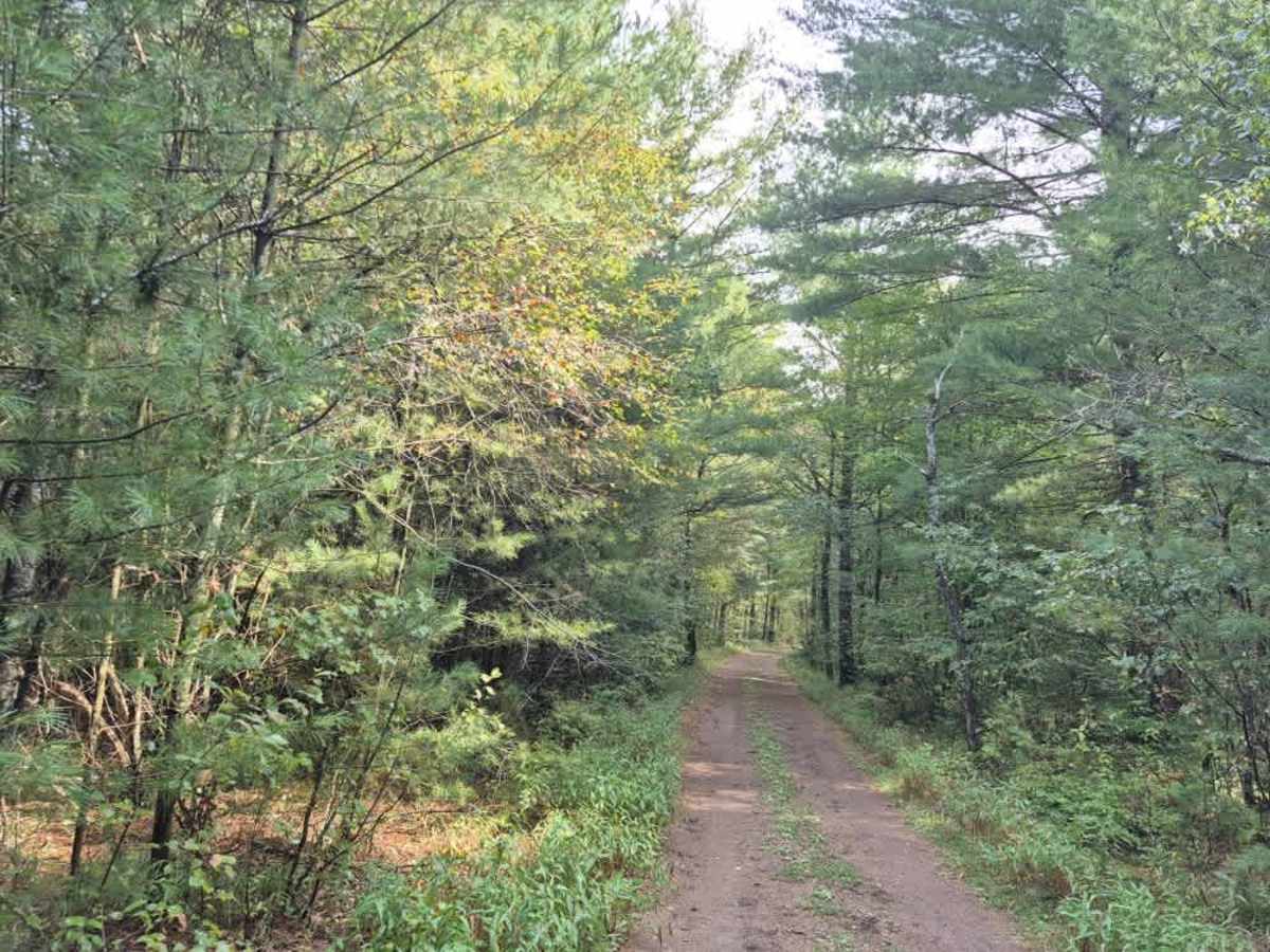 Little Otter Creek Road photo 6